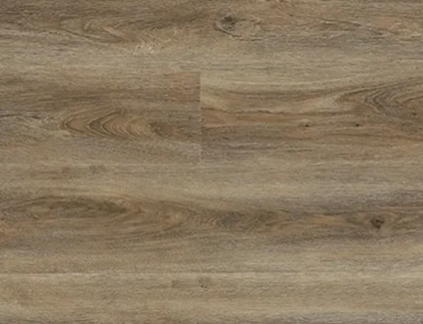 rs=w_601,h_601,cg_true (12)